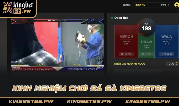 Kinh nghiệm chơi đá gà KINGBET86