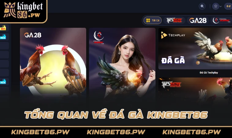 Tổng quan về Đá Gà KINGBET86